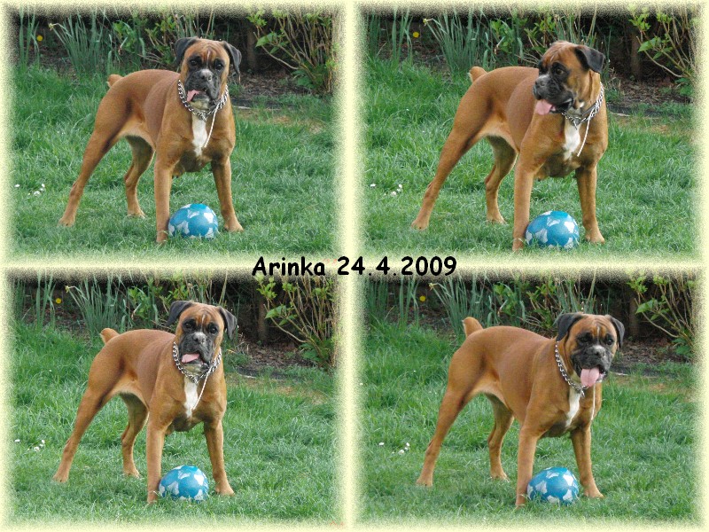 20090424 Ari 04.jpg