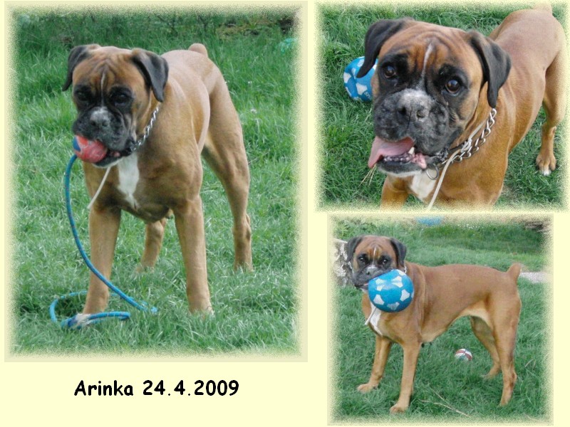 20090424 Ari 05.jpg